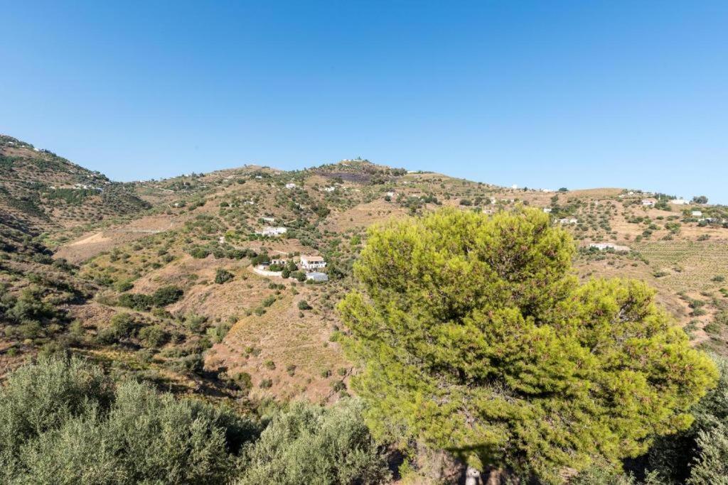Felicidad Sayalonga Rural Casa de Férias Málaga
